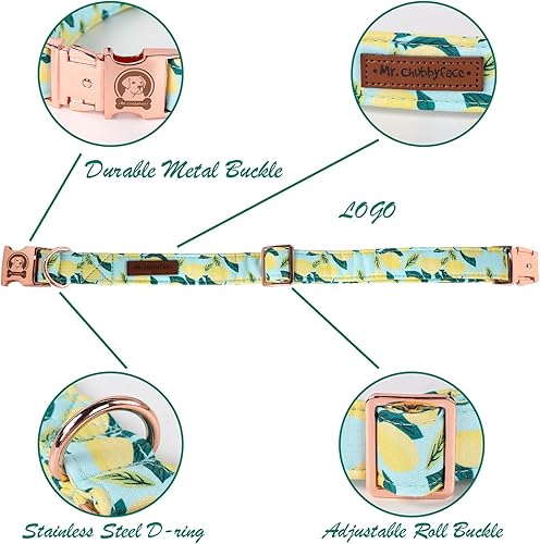 Miniatura 3 de MR. CHUBBYFACE - Collar de perro de primavera y verano, lindos collares de perro de limón verde, ajustable, duradero, suave, de tela natural, para