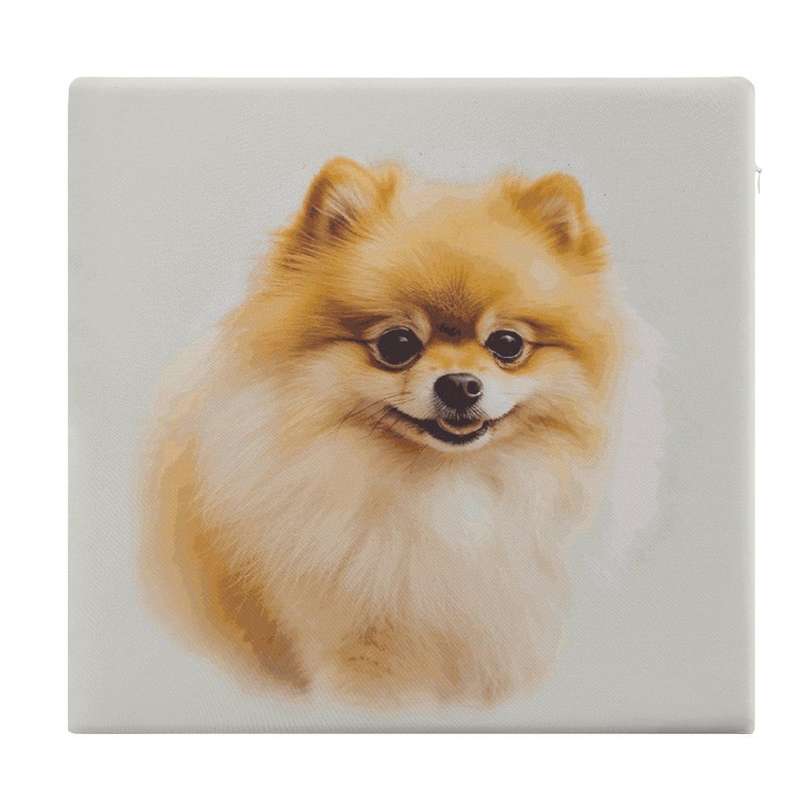 LDGSUPH - Yellow Pomeranian Seat Cushions for Office Chair Square Soft Seat Cushions Cushions Memory Foam Cushions for Home Travel Car