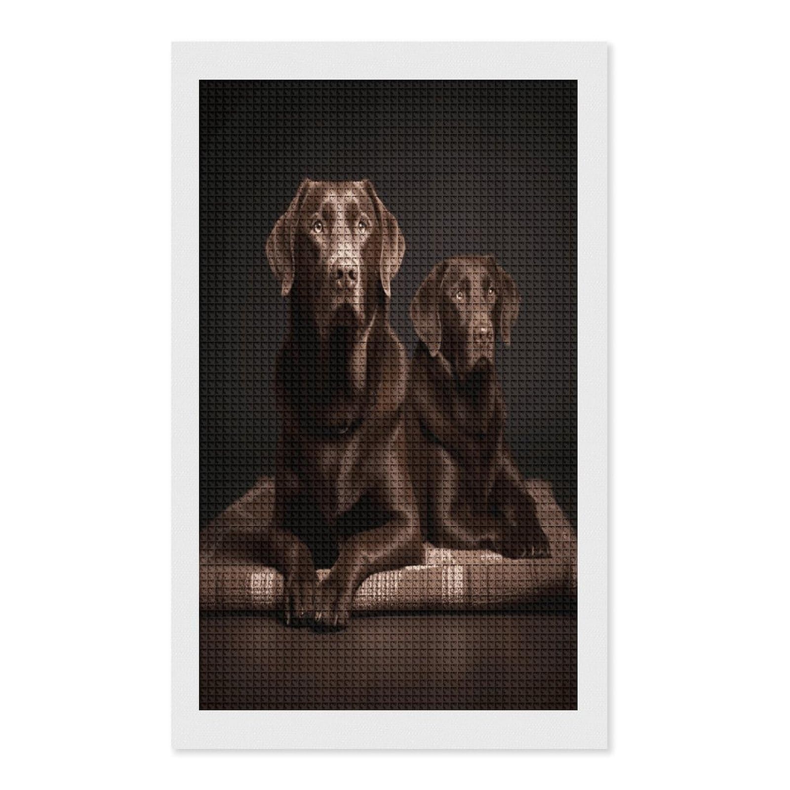 FodPand Brown Labrador Retriever Diamond Painting Kit for Beginner Fun 5D DIY Crafts for Adults Diamond Art Kits Square Diamond Art Canvas Painting Gem Art Crafts for Home Wall Decor 12"x20"