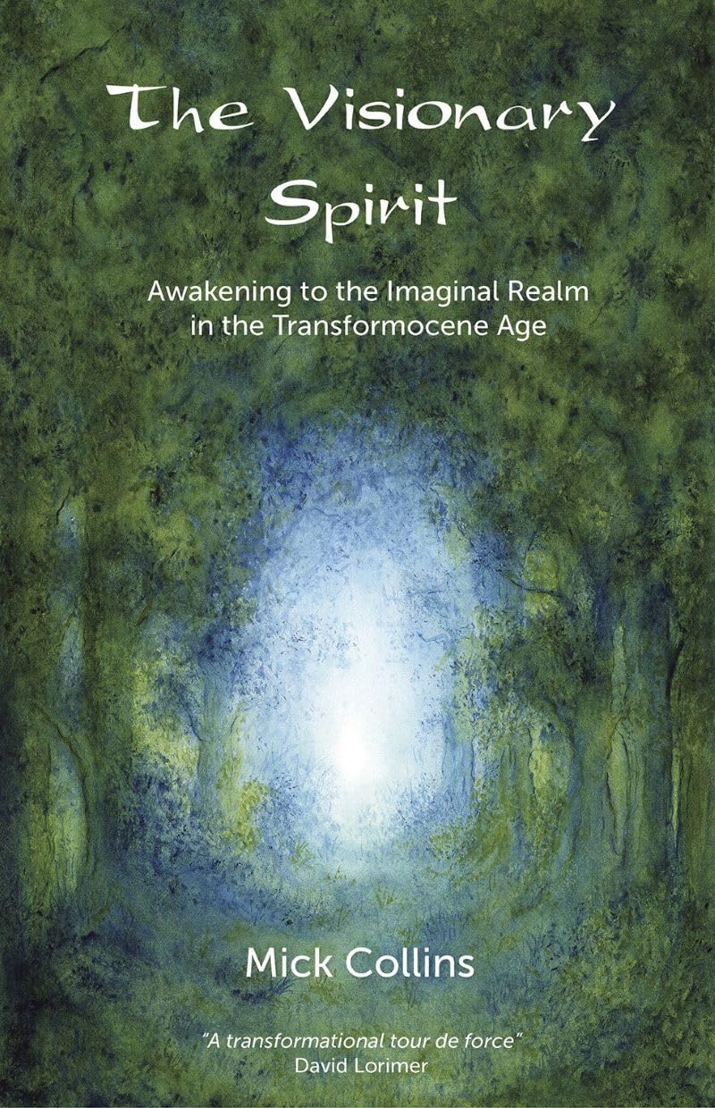 The Visionary Spirit: Awakening to the Imaginal Realm by Mick Collins PAPERBACK