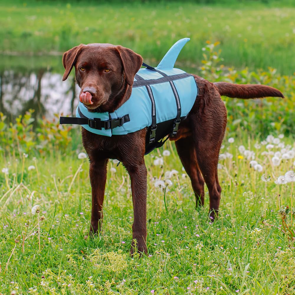 Nobby 61031 Hunde Schwimmhilfe Sharki hellblau Größe: S, 30 cm