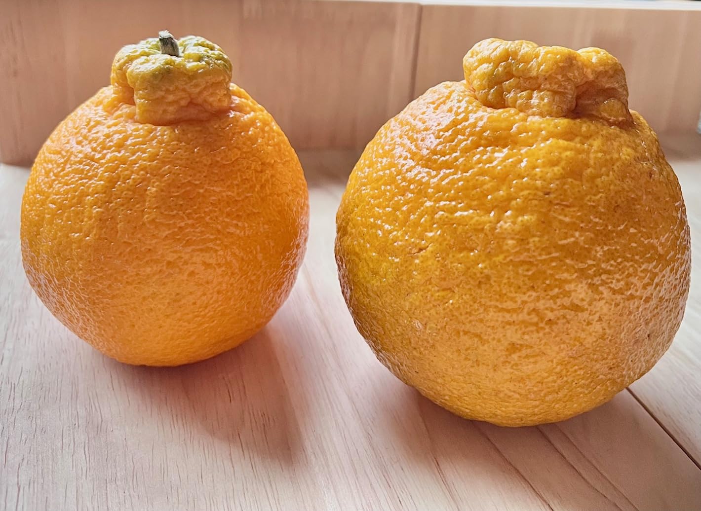 Fresh Shiranui Mandarin Oranges Dekopon Tangerines Oranges Sweet Seedless Giant Large Size Fruit - 3lbs (1.09~.90lb/fruit)