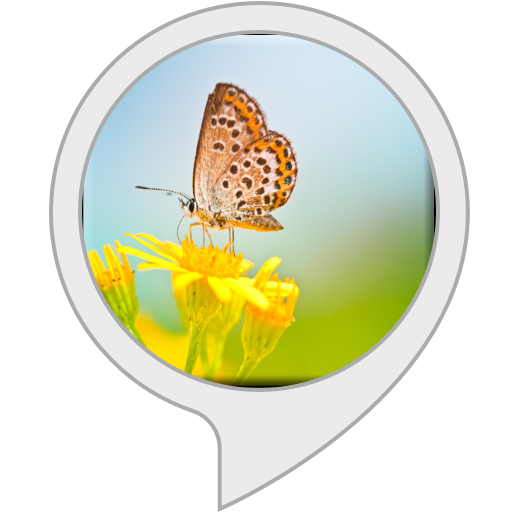 Garden Screensaver for Echo Show Alexa Skills