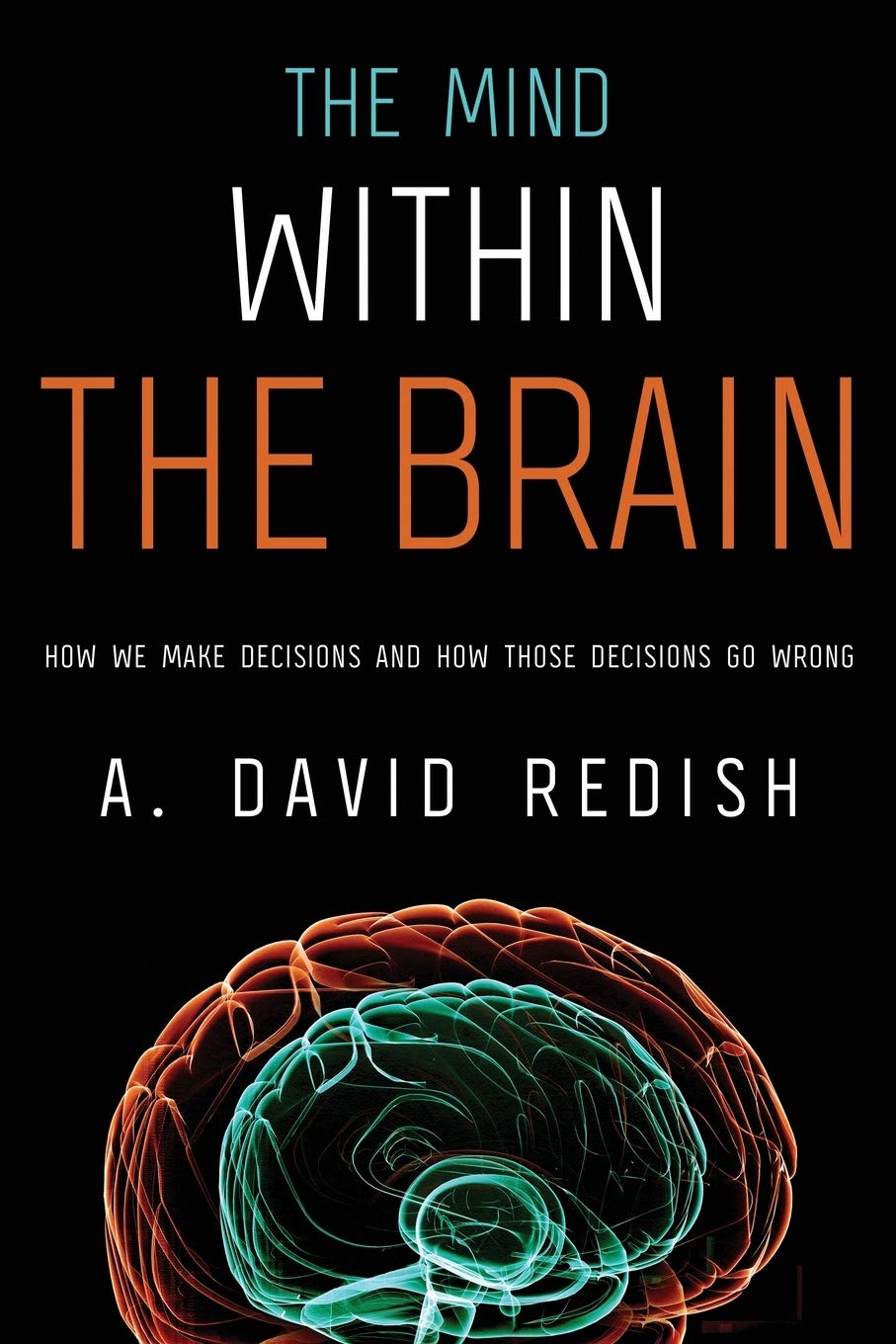 The Mind within the Brain: How We Make Decisions And How Those Decisions Go Wrong