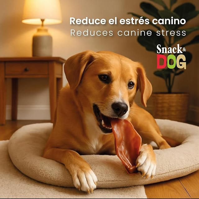 Foto 3 de 3 de Snack and Dog Orejas de Cerdo Deshidratadas, 100% Natural, Sin Aditivos, Snack para Perros de Todas Las Razas