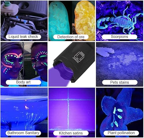 Miniatura 7 de DaskFire Linterna LED con luces negras, luz de antorcha de batería recargable y luces negras ultravioleta de 395 nm, alto lúmenes, multiusos para