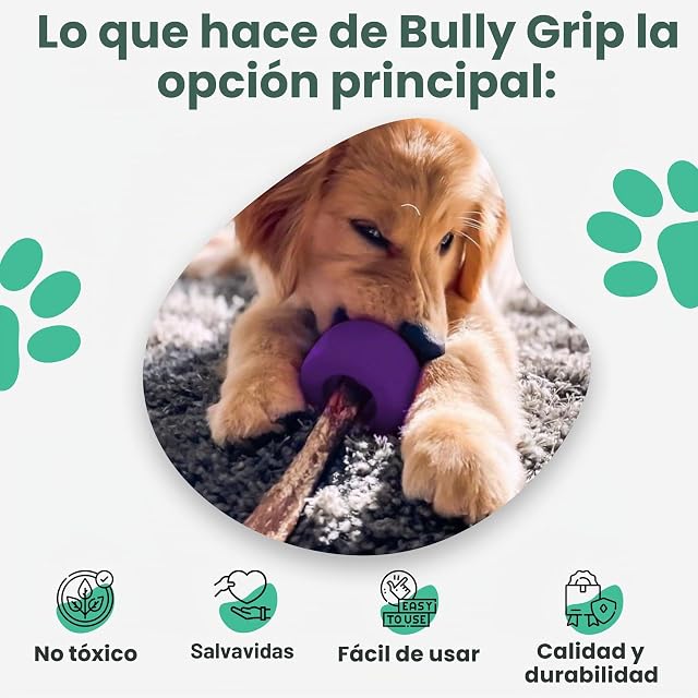 Foto 5 de 6 de Bully Stick Holder - Tamaño Mediano - Juguete Interactivo para Perros y Dispositivo de Seguridad para Perros