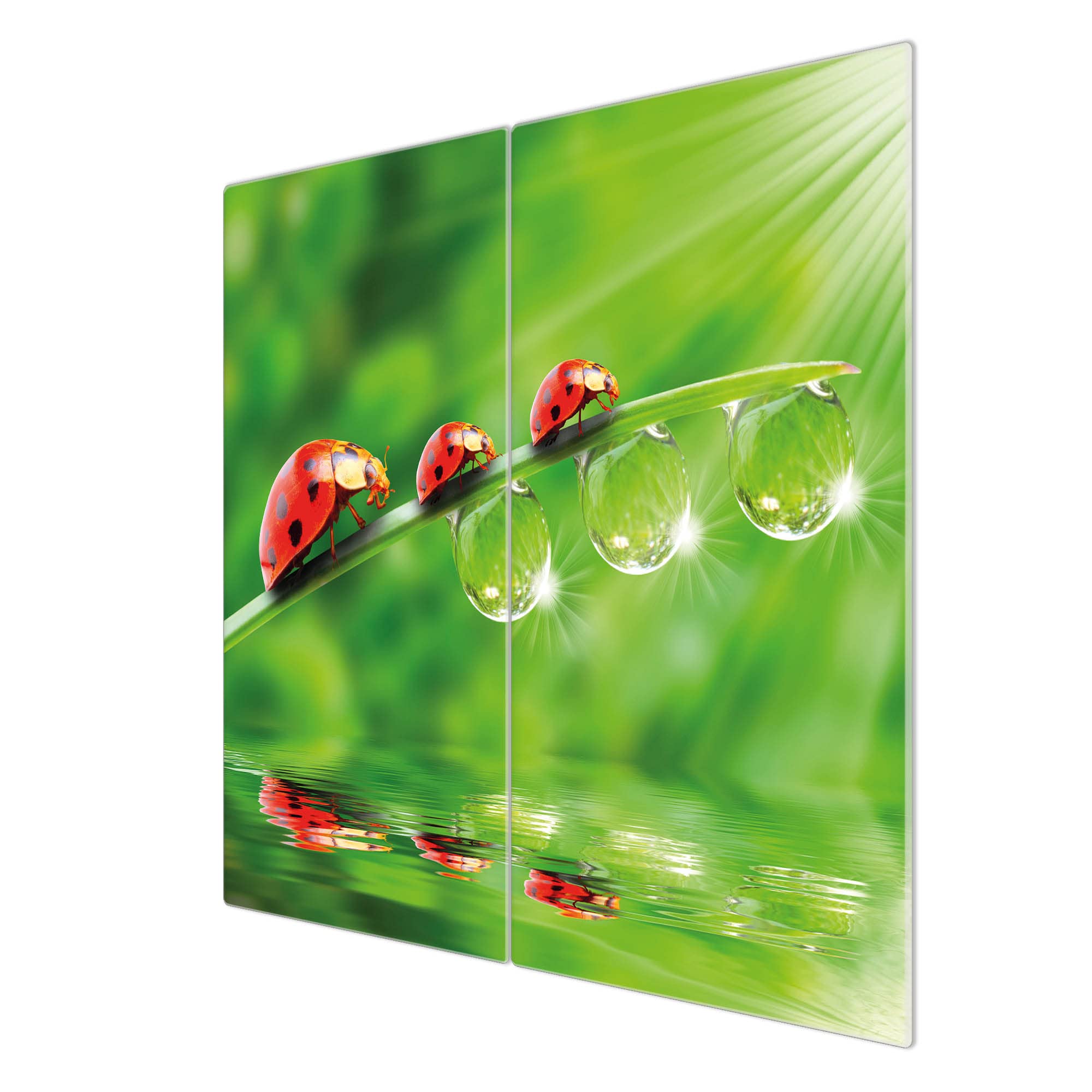 banjado Herdabdeckplatte Glas 2-teilig 60x52 cm, Kochfeld Abdeckung und Schneidebrett Ceranfeld aus gehärtetem Glas, pflegeleichter Spritzschutz Tiere allgemein mit Motiv Für Jeden Einen