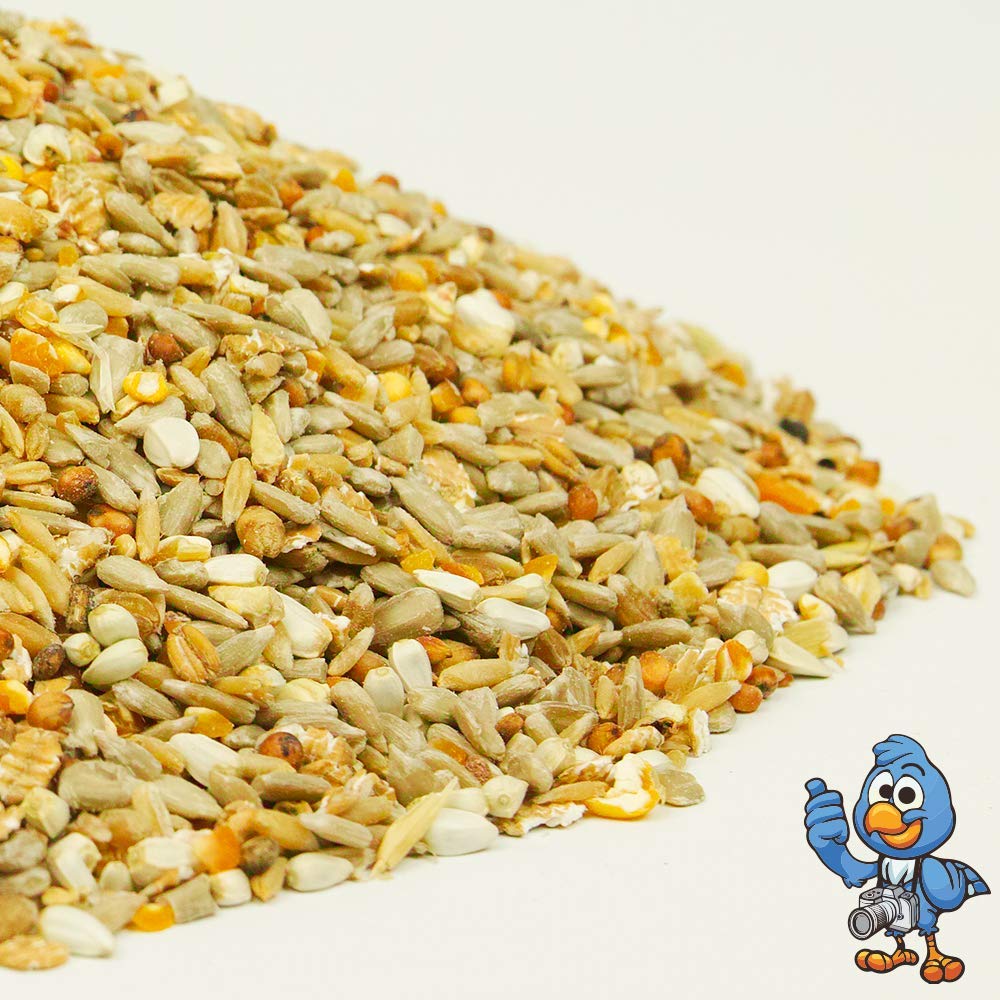 Mezcla de Semillas No Mess BusyBeaks - Alimento para Aves Silvestres jardín.