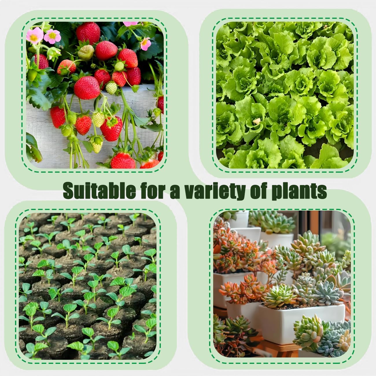 Greenhouse Hoops , 6 Set 8FT Long Fiberglass Grow Tunnel for Raised Beds image 5