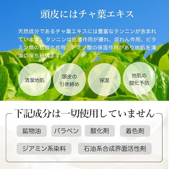 Kyogoku カラーケアシャンプーの商品画像