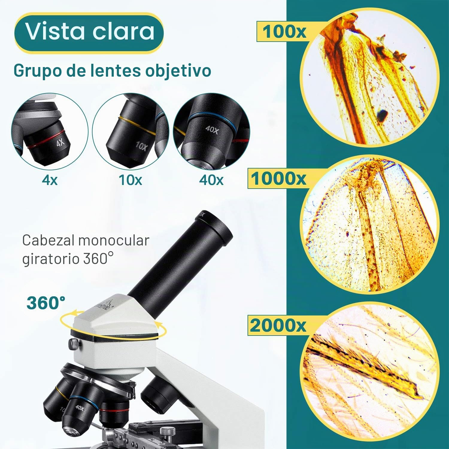 MAXLAPTER Microscopio LED 2000x con Regla móvil – Óptica de Laboratorio con Cuchillas preparadas y en Blanco – Adaptador de Lente