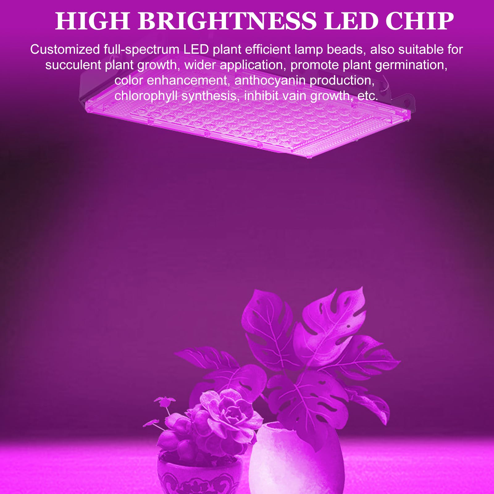 100W LED UV Schwarzlicht LED Strahler, LichtFarbe Rosa, Led Schwarzlichtlampe IP66 Wasserdicht UV Strahler, 395-400nm UV Fluter mit Stecker, Schwarzlicht für Glow Party, Blacklight, Party Zubehör