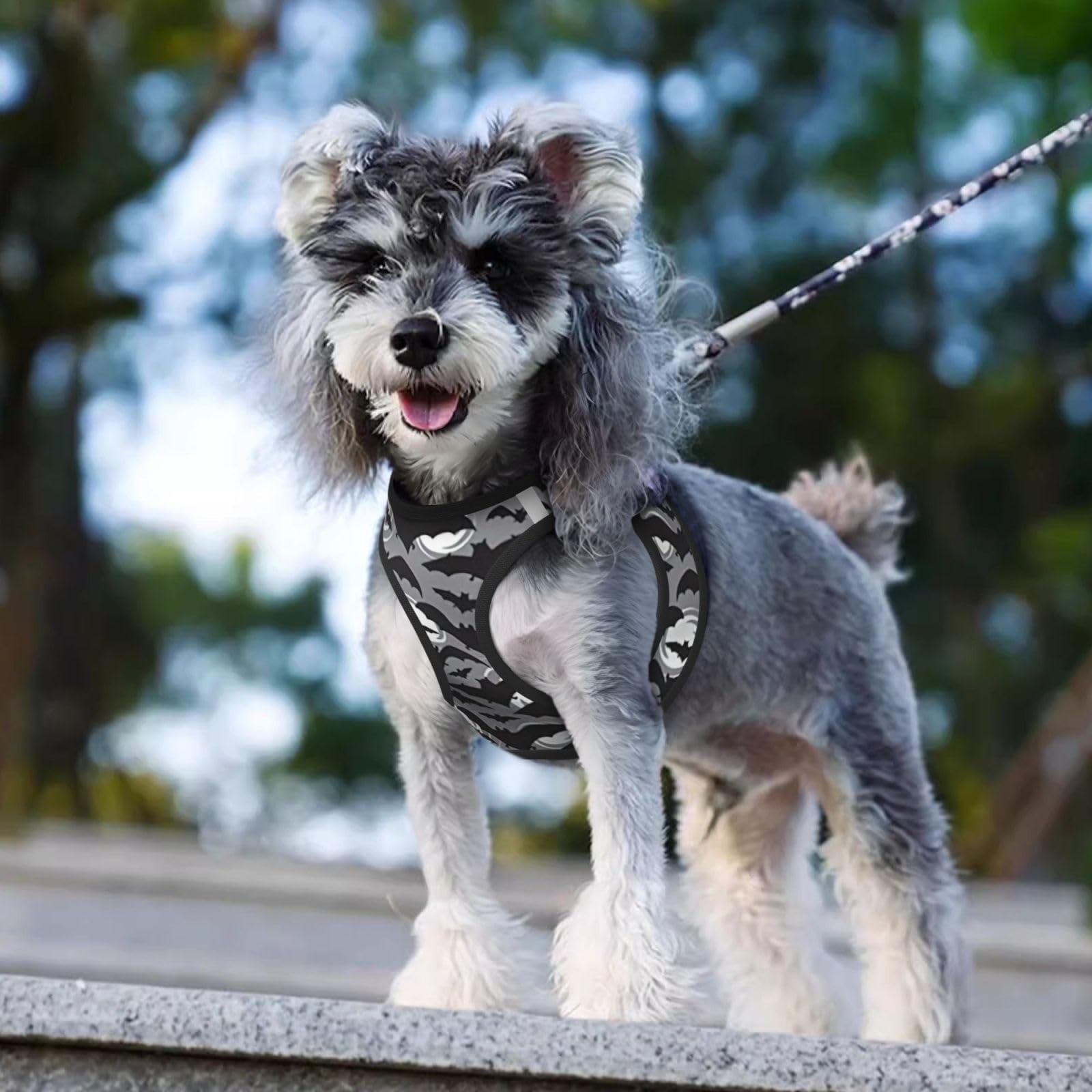 View 7