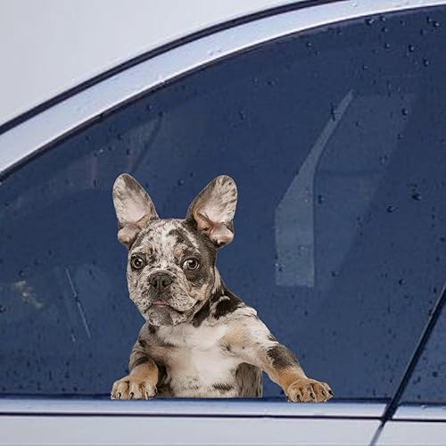 Miniatura 46 de Calcomanías de perro caniche, divertidas calcomanías de vinilo troqueladas para automóvil, laptop, parachoques Estilo-37