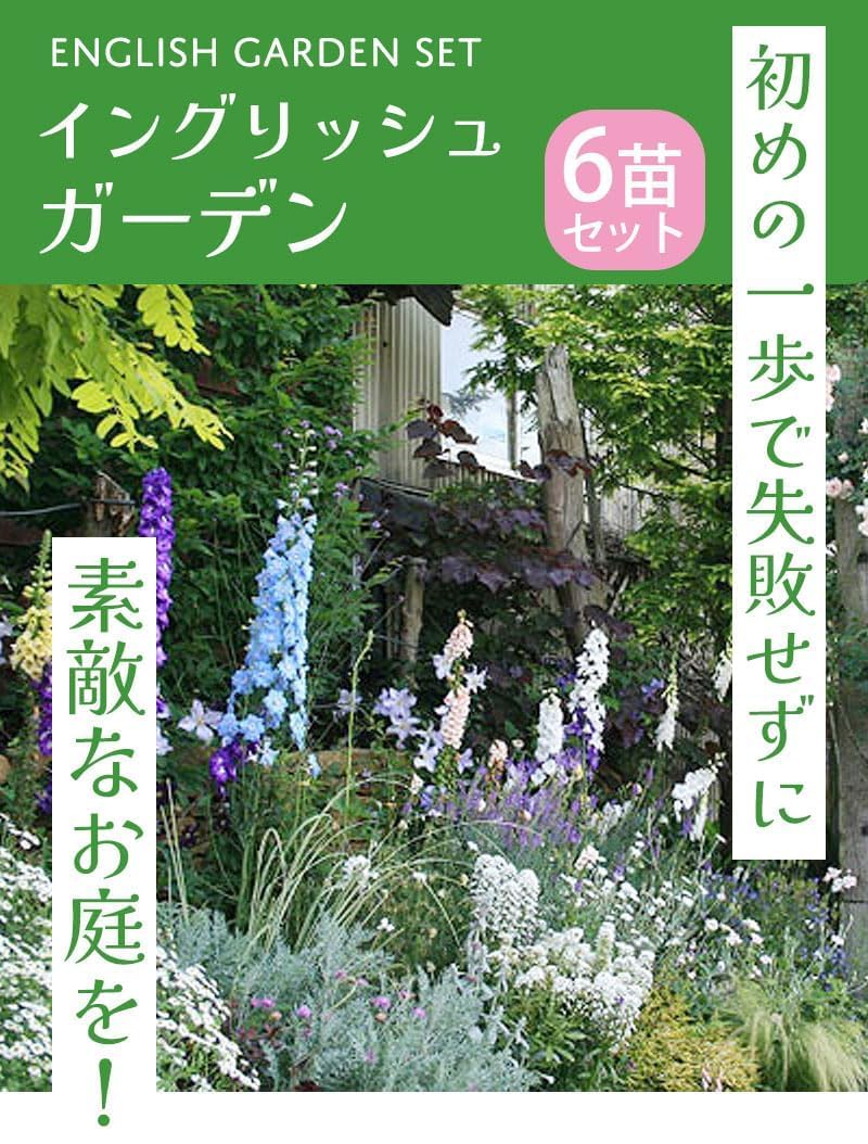 Amazon.co.jp: World Fantasy Garden 苗セット 開花は初夏から秋
