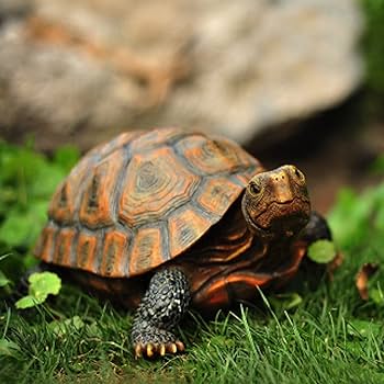 リアルな亀置物 約50cm Amazon.co.jp: カメ置物 縁起物 リアルな亀の置物 タイプ 動物オブジェ