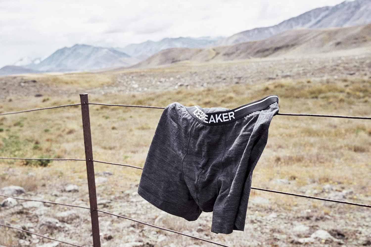 icebreaker mens Merino 150 Anatomica Boxers - Image 3