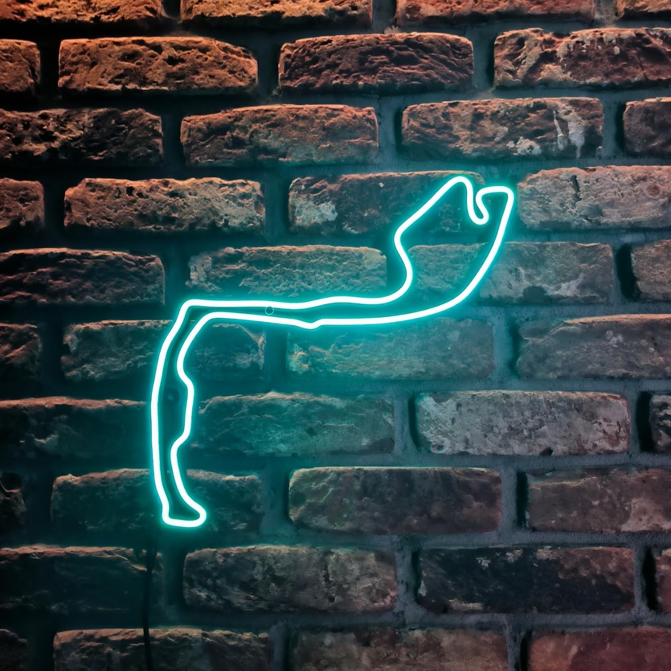 Monaco Circuit de course néon LED Motorsport Contour de piste Lumière Silicone Neon Flex 40 cm Cadeau pour les fans de course Garages Décoration murale Sim Racing Éclairage de chambre