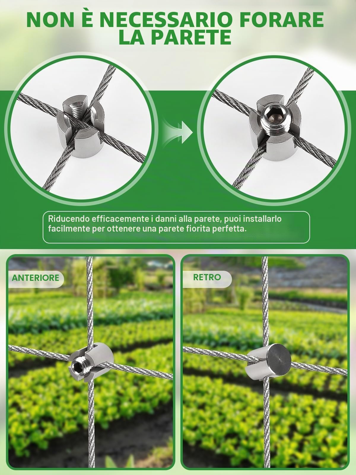 TOROKOM 185PZ Kit Tralicci da Giardino 30m per Piante Rampicanti, Acciaio Inox T316 Resistente, Sistema di Sostegno a Parete per Fiori e Viti