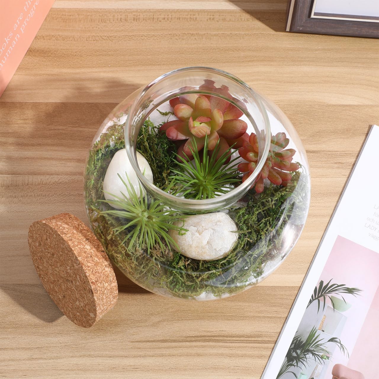 DOITOOL Pot rond en verre pour terrarium, plantes succulentes, bourgeons, vase à vœux, bouteille avec couvercle en liège, pot à bonbons, pot en verre pour fougère, mousse, plantes succulentes