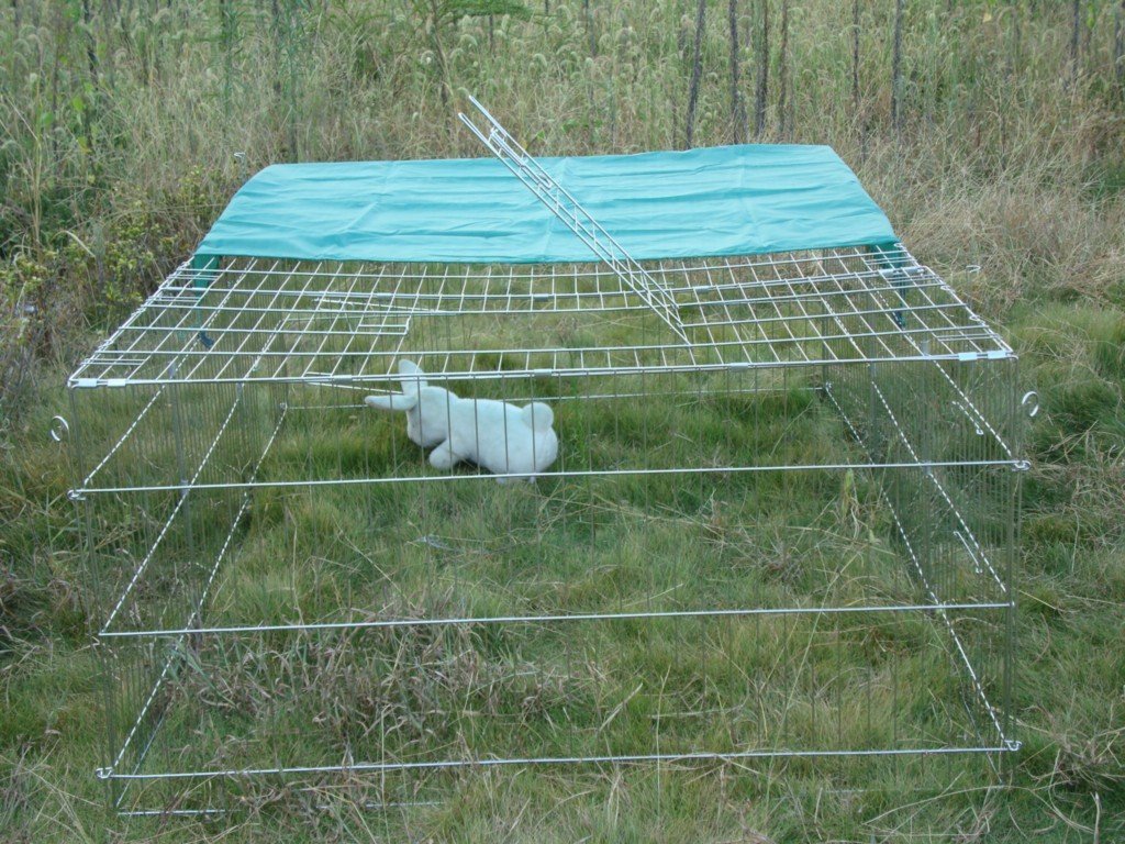 VivaPet 72inch XXL Rabbit Chicken Dog Run Playpen Net Playpen Play Pen