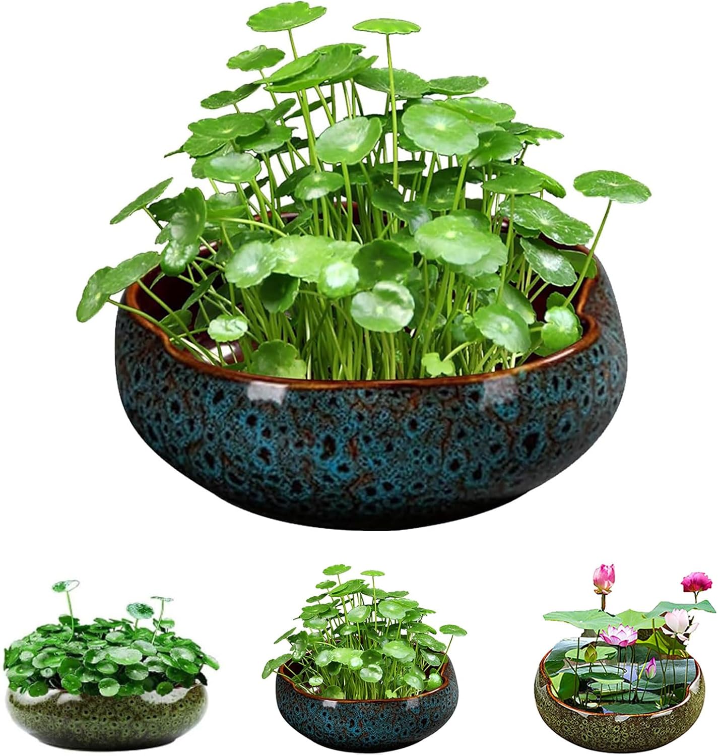 Lotus Bowl Planter, Lotus Bowls for Planting in Water Indoors, Bonsai Bowl Lotus Flower Seeds, Ceramic Planters for Indoor Plants, Leak-Proof Design for Succulent Plants Fish Home Decor (Blue)
