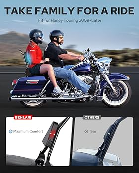 Amazon.com: Benlari Sissy Bar Backrest, 26