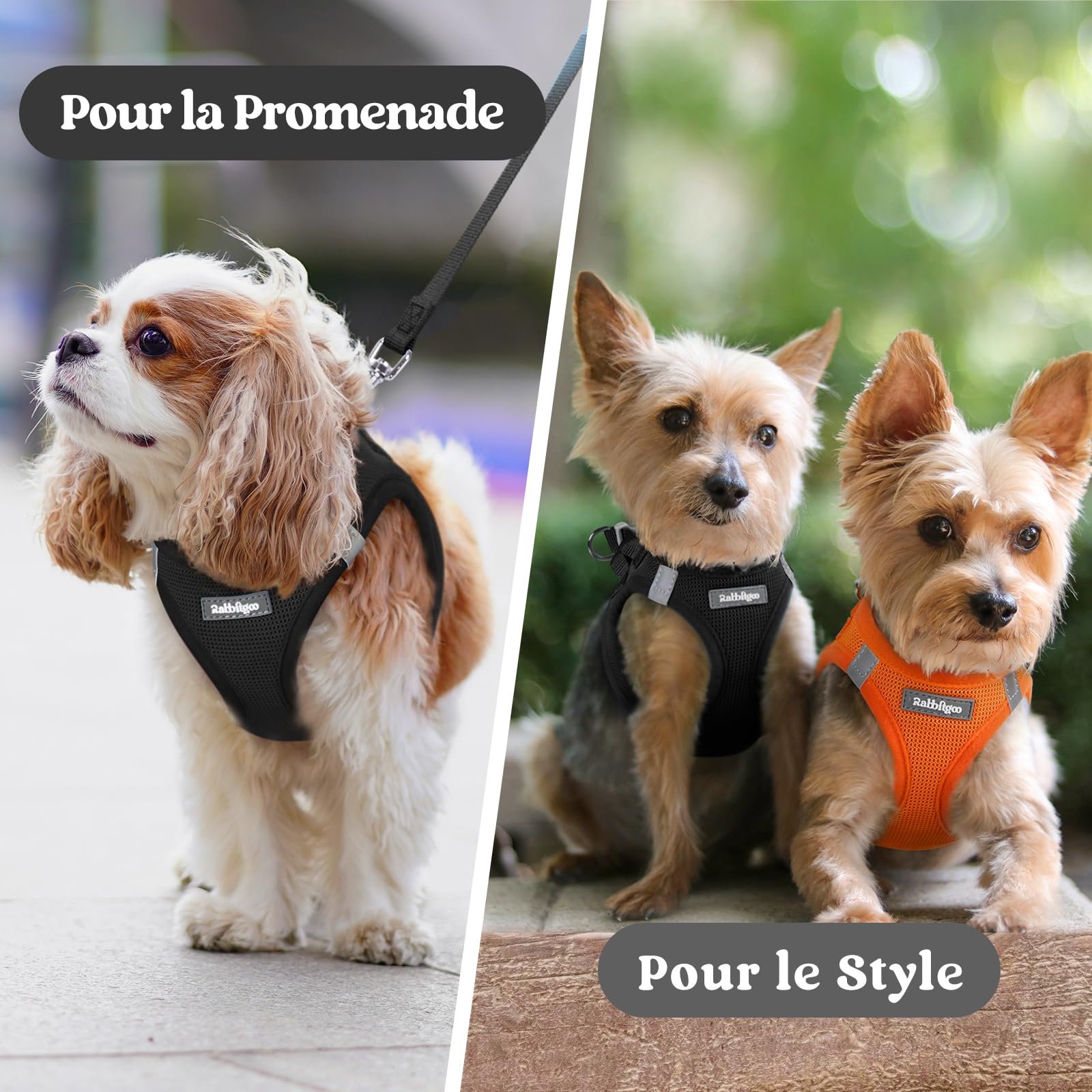rabbitgoo Harnais Chien Petite Taille Noir S, Harnais Chiot Respirante en Maille Souple, Arnet pour Chien Réfléchissant Facile à Mettre, Gilet Réglable pour Petits et Moyens Chiens pour Marche Course