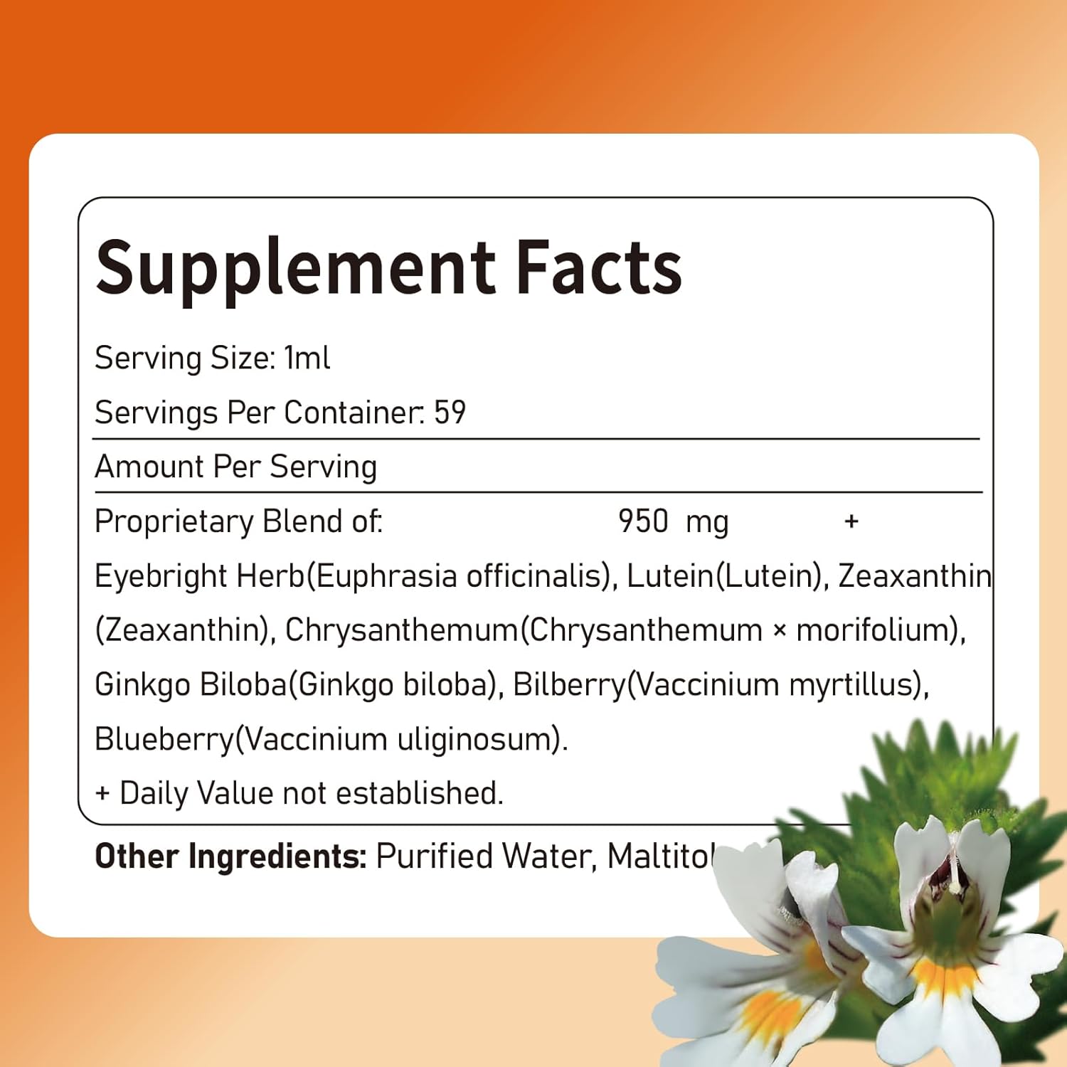 Eye Health Support Eyebright Liquid Drops, Natural Herbal Extract for Eye Strain Relief & Sight Care Support. 2oz