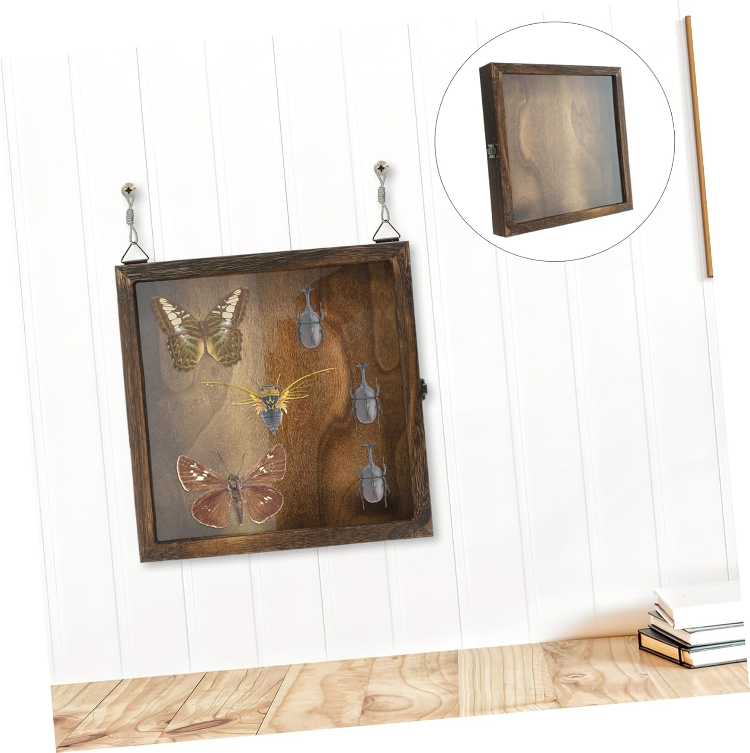 PRETYZOOM Insect Specimen Needle Display Box Pin Display Case Large Capacity Wood Insect Showcase Style