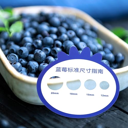 Miniatura 6 de 12 tarjetas de medición de diámetro de arándanos, tarjeta de medición de diámetro de fruta, tarjeta de medición de diámetro para granja de
