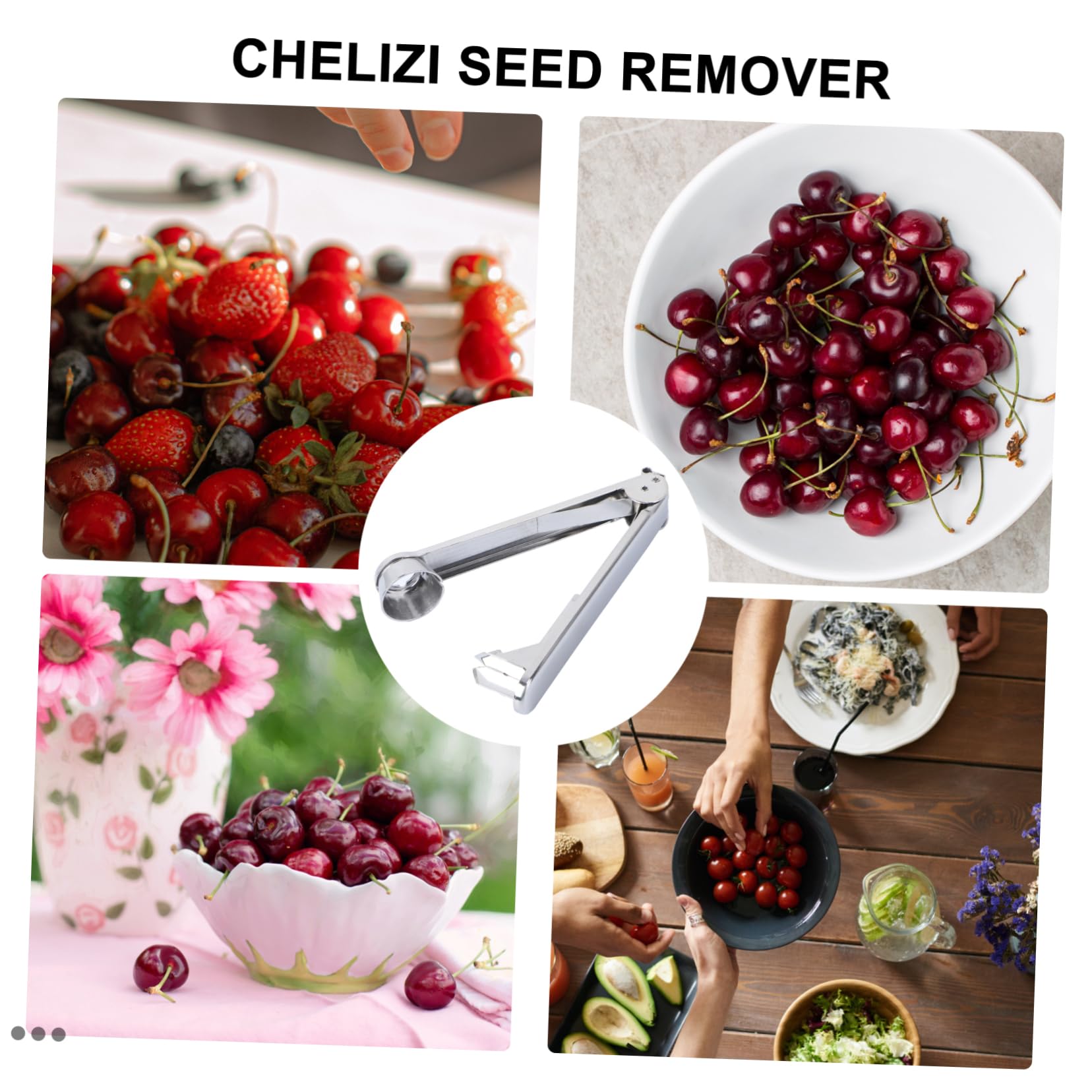DECHOUS Fruit Corer Cherry Core Cherry Corer Pitter Kitchen Gadget Made of Stainless Steel Easy to Use and Clean