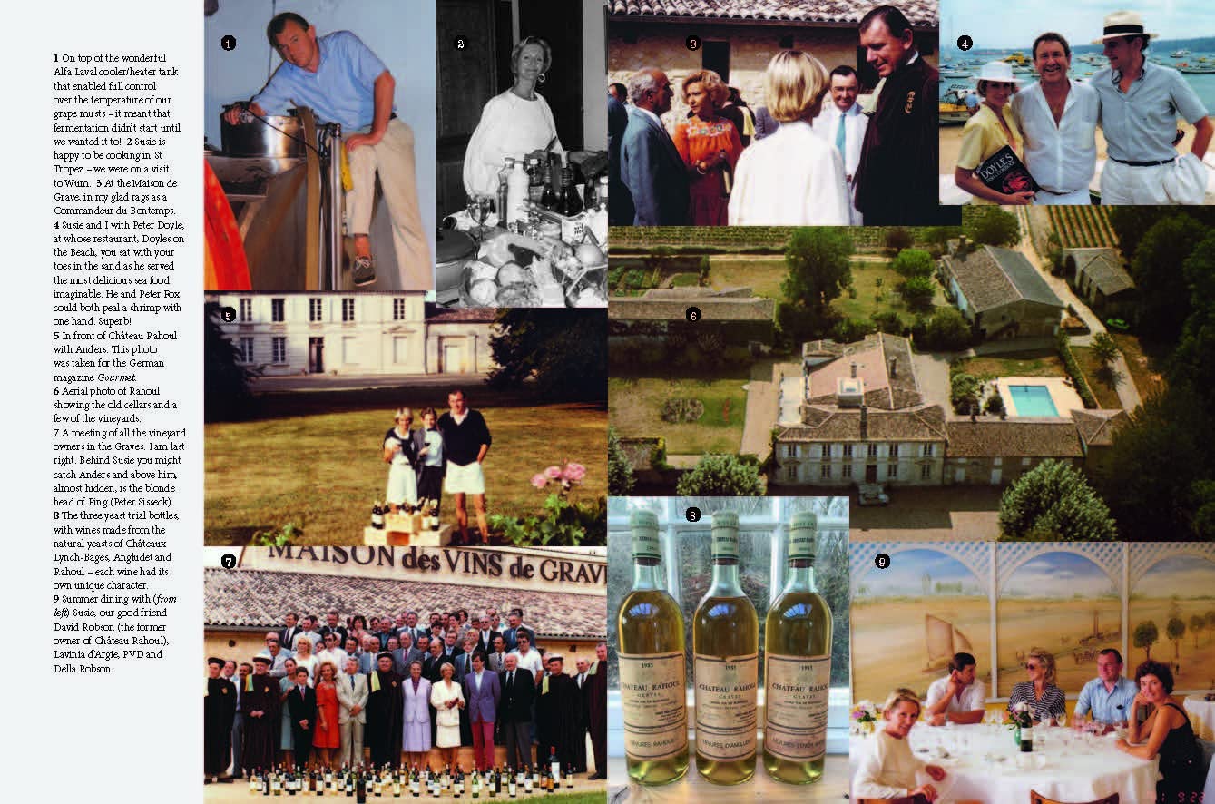 Viking in the Vineyard Peter Vinding-Diers /anglais: Stories from a revolutionary winemaker