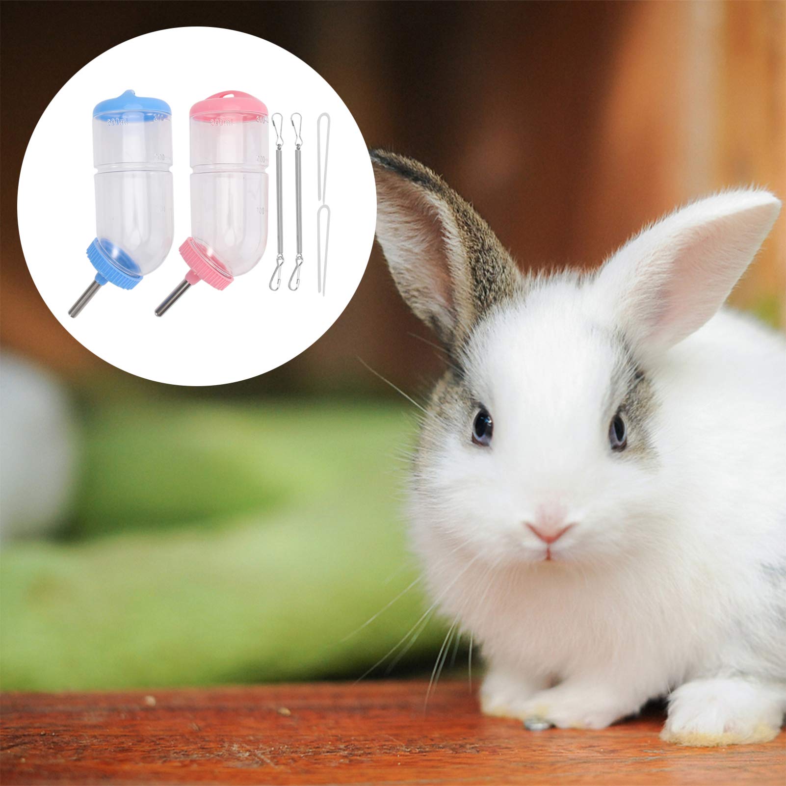 BESPORTBLE 6pièces Fontaine à Eau pour Rongeurs Bouteille Eau Étanche pour Animaux De Compagnie pour Cochons Et Chinchillas