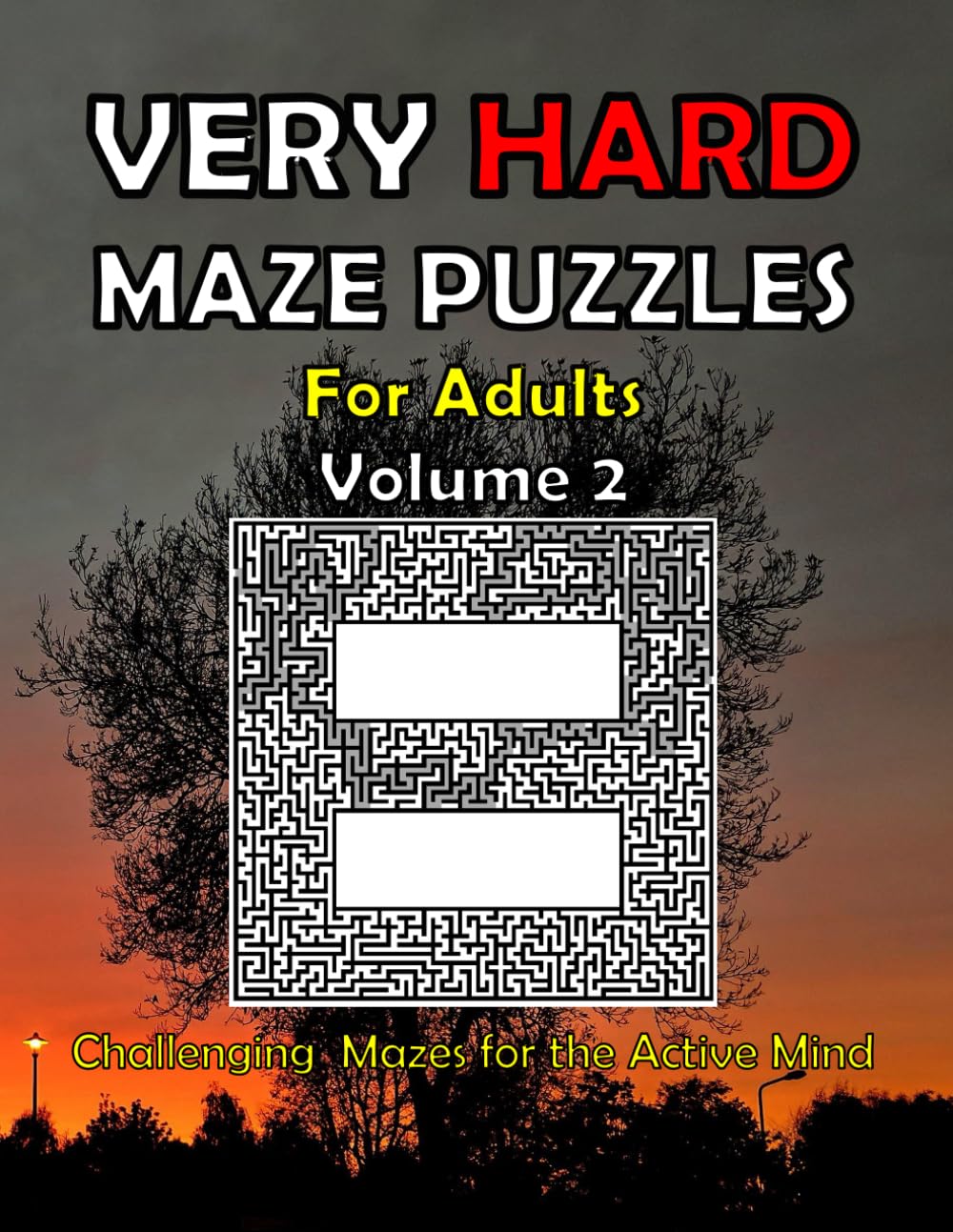 Very Hard Maze Puzzles for Adults Volume 2: Challenging Mazes For The Active Mind