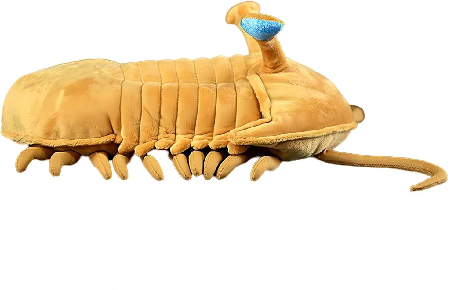 FRANKIEZHOU Simulated Trilobite Stuffed Animal, Lifelike 11.8" Ancient Creature Plush Toy, Soft Girls Toy, Children's Gifts