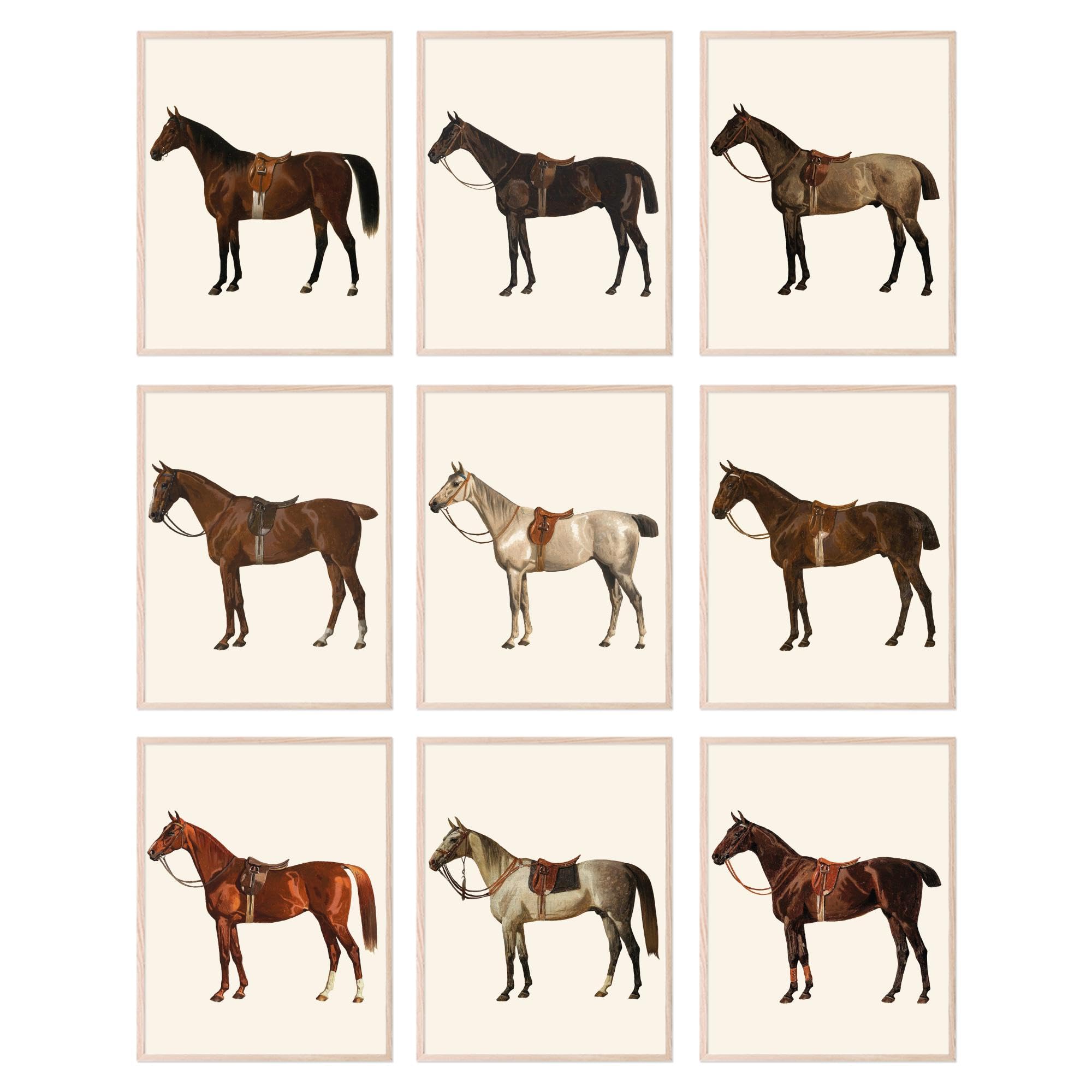 BigWig Prints Horse Wall Art - Vintage Posters, Rustic Wall Decor, Equestrian Artwork for Home, Horse Prints, Bedroom Decorations - Unframed Set of 9 (8x10)
