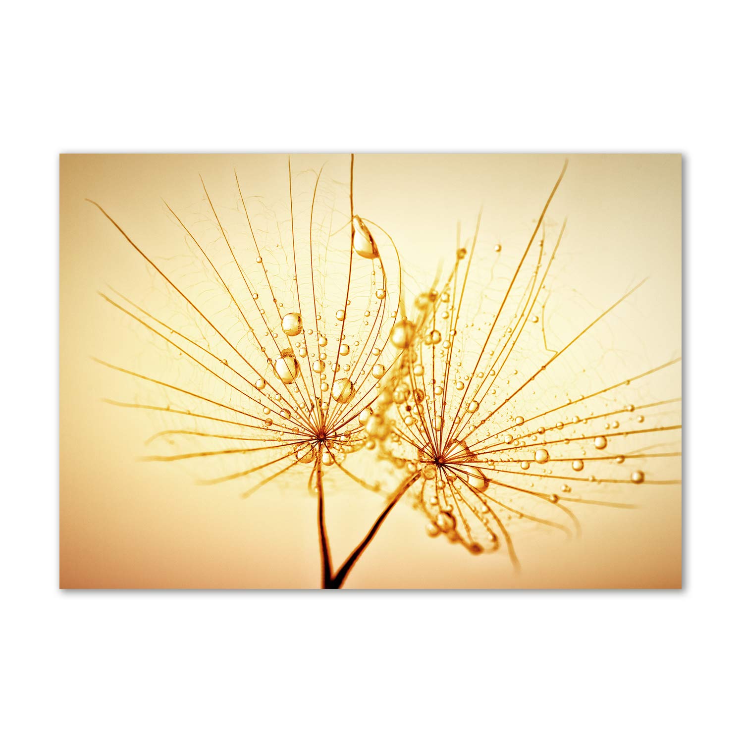 Tableau plexiglas beige d'art mural acrylique haut de gamme Tulup