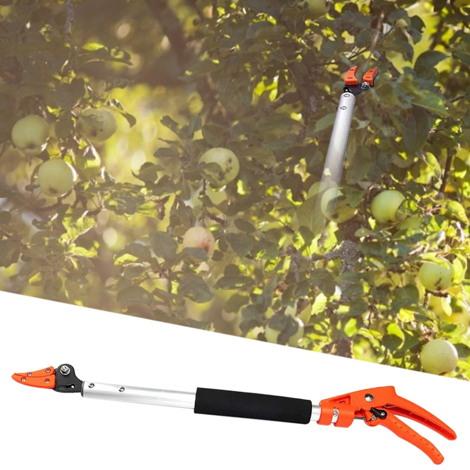 Sécateur À Long Manche,Coupe Branche Long Manche avec Pince de Retenue,Sécateur,Cueillir des Fruits,Facile à utiliser,100cm