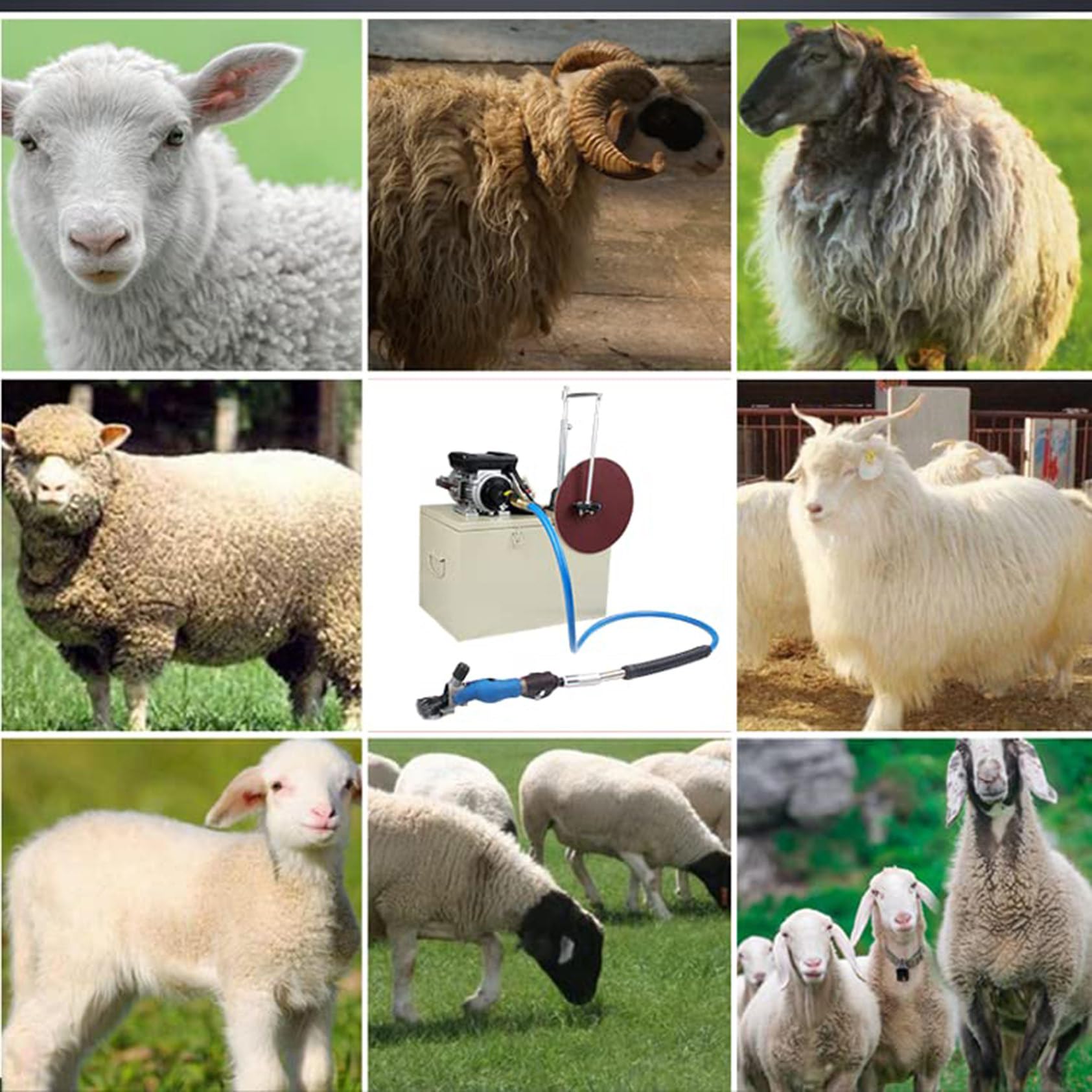 Tosatrice Elettrica per Pecore, Tosatrice Professionale per La Toelettatura di Capre E Pecore, Ideale per Allevamenti di Animali Domestici.