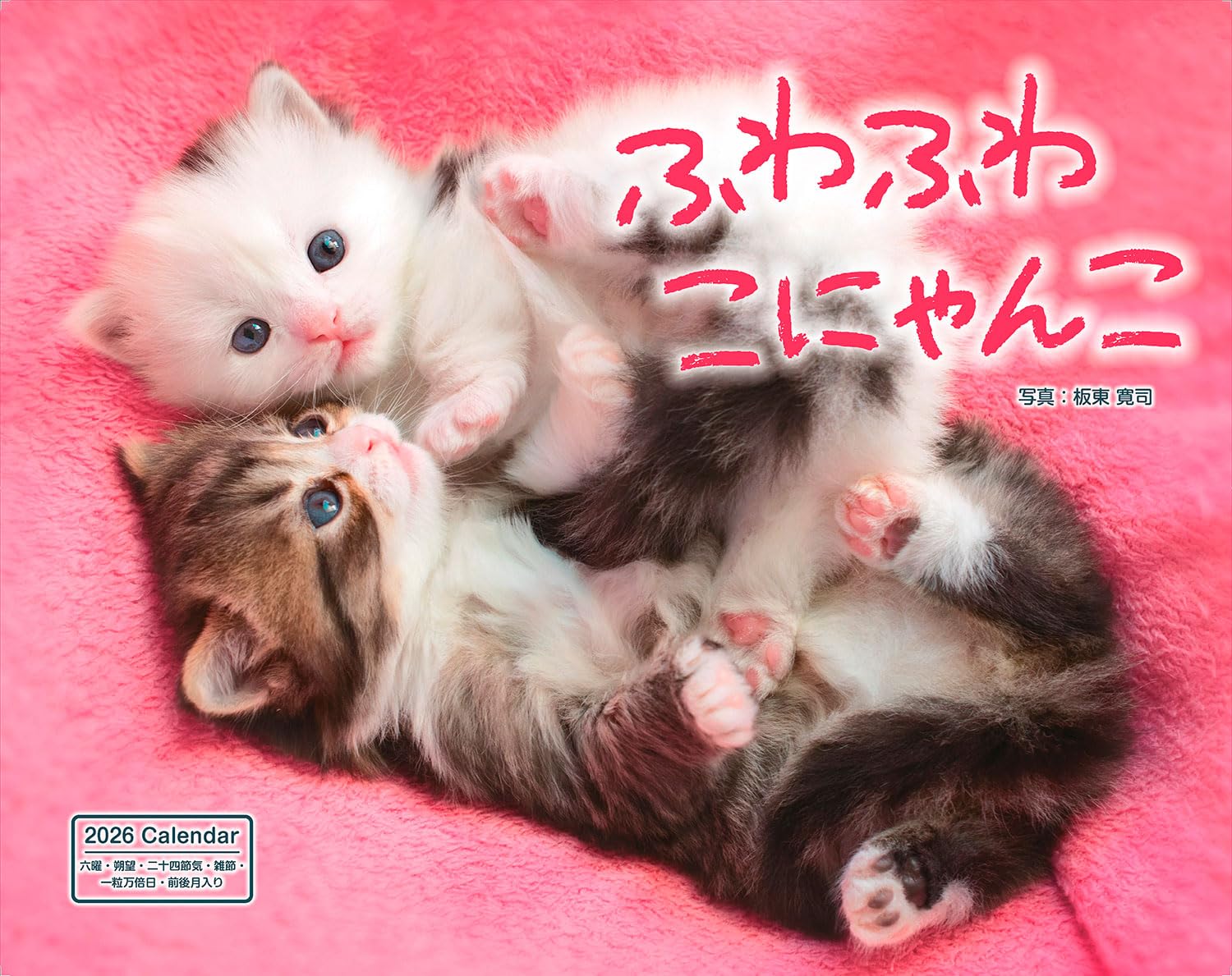 カレンダー2026 ふわふわこにゃんこ(月めくり/壁掛け/600mm×380mm