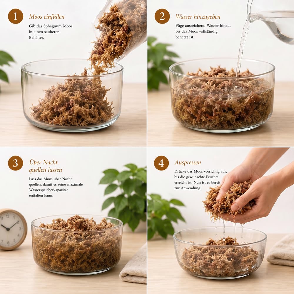 Sphagnum Moos 5Kg, ca. 400L – Premium Orchideenmoos & Pflanzensubstrat | Stark wasserspeichernd, Torfmoos, Für Orchideen, Monstera, Anthurium, Für Stecklinge & Terrarium, Für Zimmerpflanzen