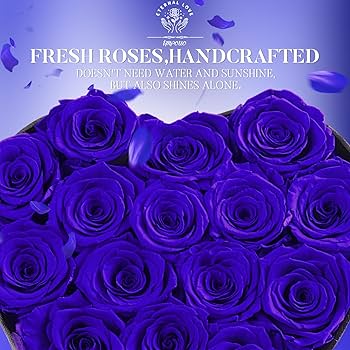 Amazon.com: Impouo 16 Preserved Flower Delivery Prime, Preserved