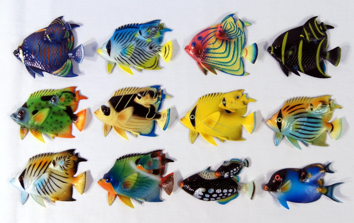 Amazon.com: Wholesale Pack Handpainted Twin Tropical Fish Magnet
