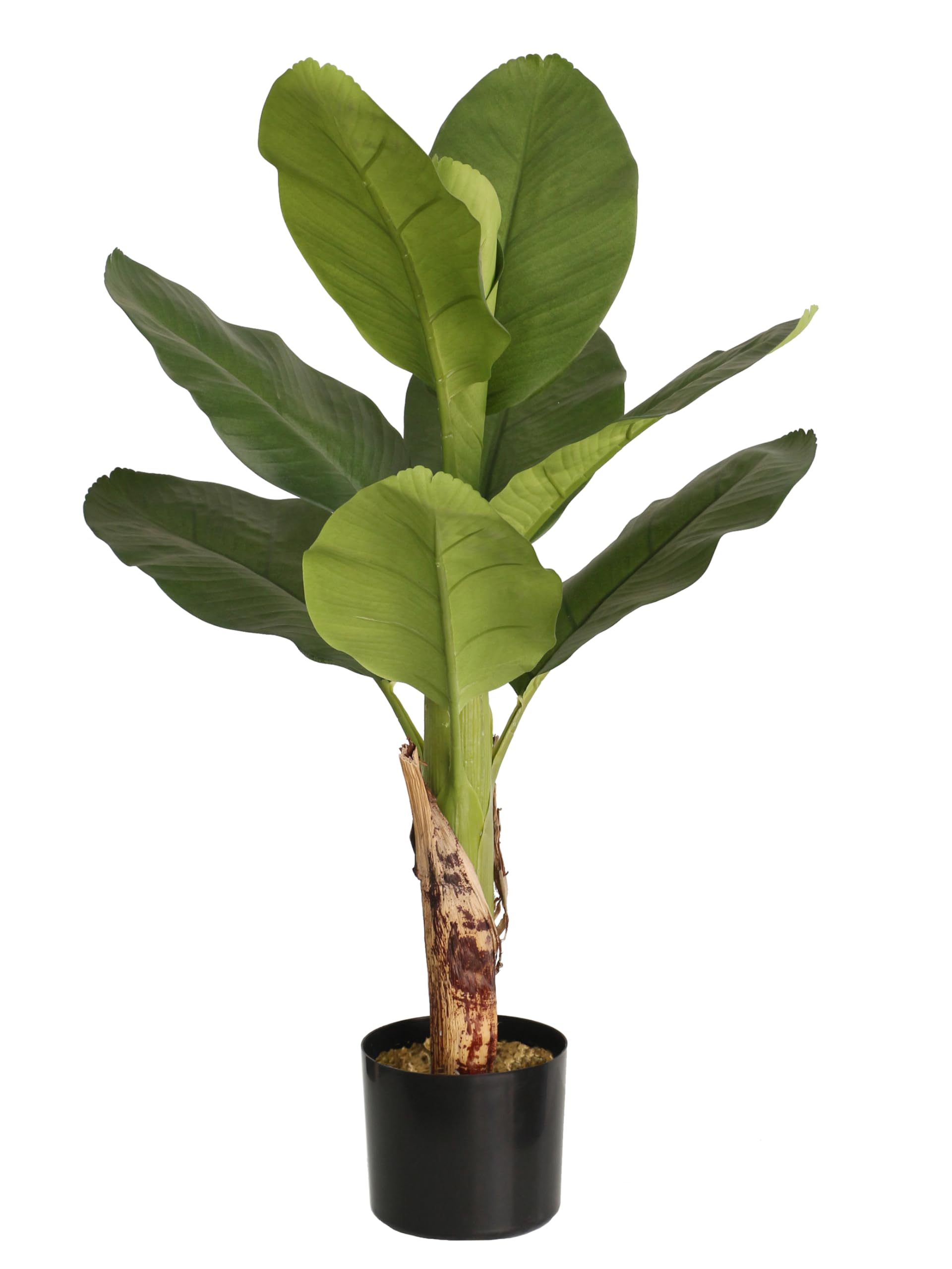 Amazon.de: Seidenblumen Ro Bananenpalme/Bananenpflanze 85cm LA knstlicher  Baum Kunstbaum Kunstpflanze knstliche Pflanzen Banane