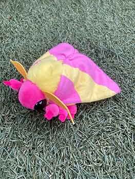 昆虫 MANIAC おおきなロージーメープルモス Amazon.co.jp: 特別展 昆虫 MANIAC 限定 ロージーメープルモス