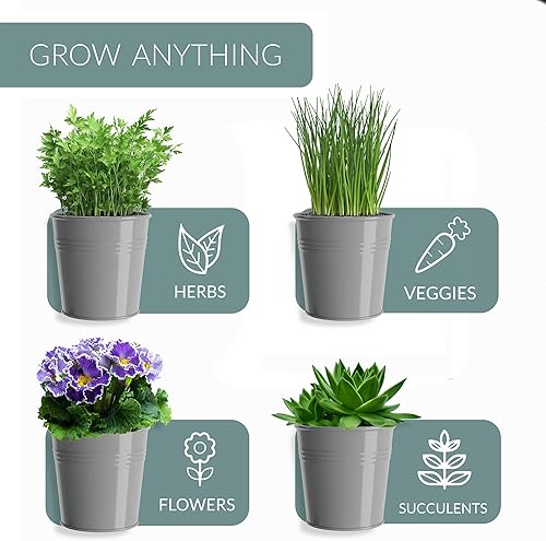 Miniatura 6 de Barnyard Designs - Juego de macetas con bandeja para huerta, estilo campestre, macetas para hierbas de interioresexteriores, para repisa de ventana