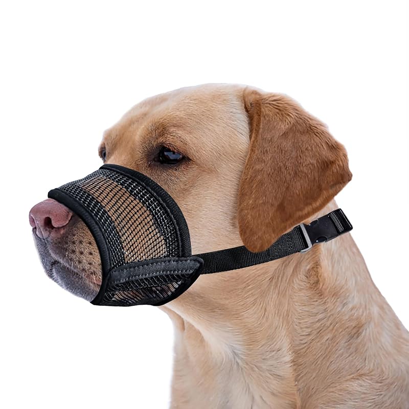 Focinheira para Cães Extra Grande em Malha Respirável Evollax XL-Mesh Preta