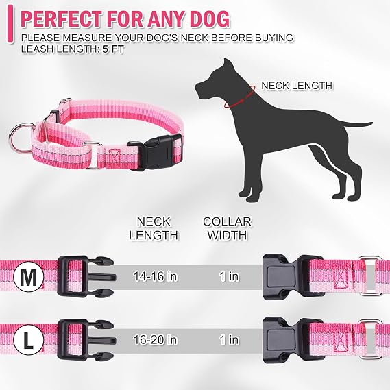 Martingale Dog Collar and Leash Set for Walking, Playing, Training, Reflective Adjustable Puppy Collars with Leash for Small Medium Large Dogs (Pink,Large)